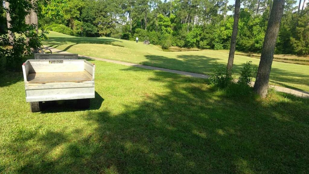 Golf Courses in Cypress