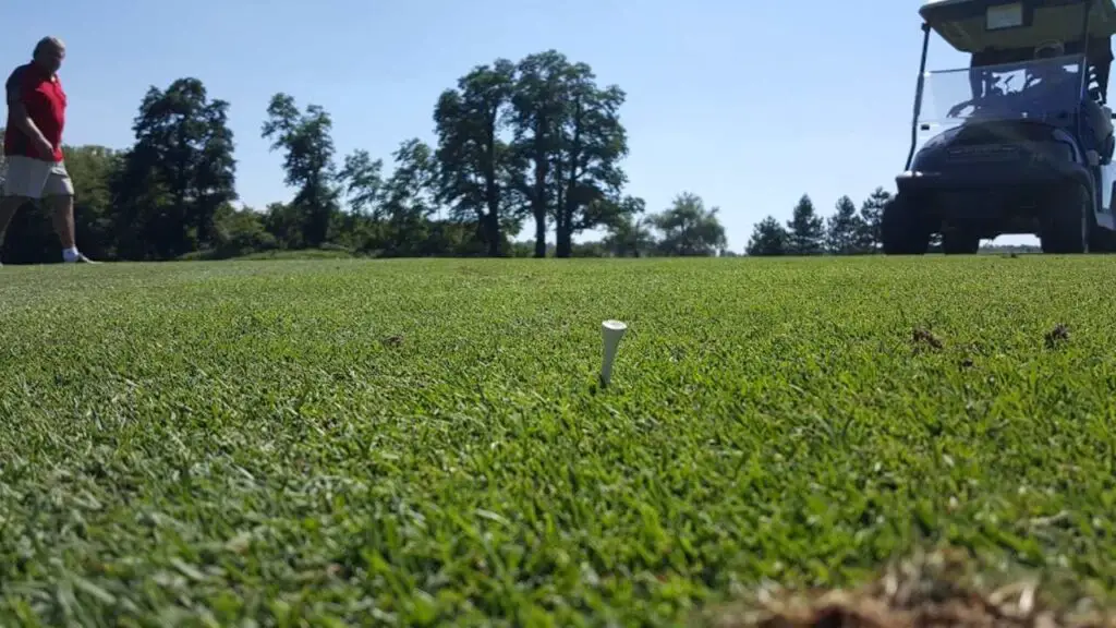 Golf Courses in Canandaigua