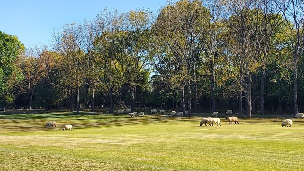 Hermitage Golf Course
