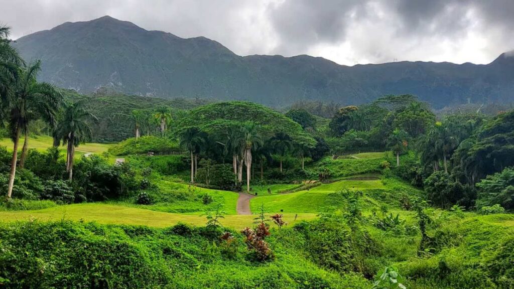 Golf Resorts in Hawaii