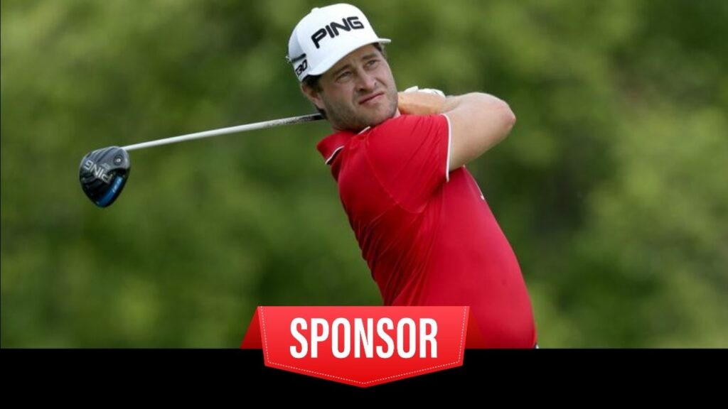 Sponsors of David Lingmerth